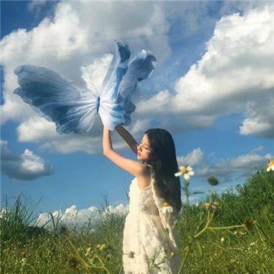 海龟奇妙之旅